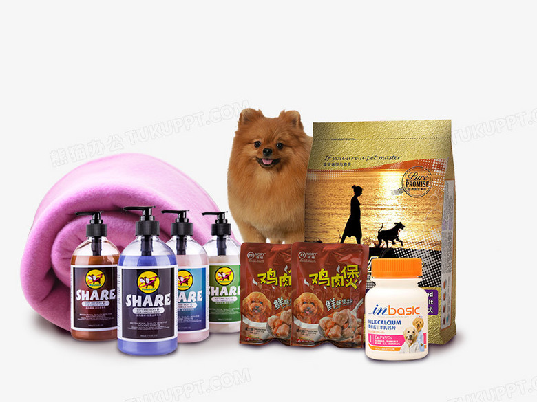 宠物用品PNG与PSD格式素材免费下载 熊猫办公数码产品专区