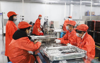 数字引擎驱动新篇章 岳阳市2021年产业项目建设流动现场会聚焦华容县数码产业发展