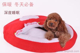 优质宠物窝垫与用品厂家直销，批发价格尽享舒适与实惠