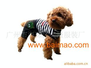 开拓欧洲宠物服装市场 阿里巴巴平台大批发供应指南